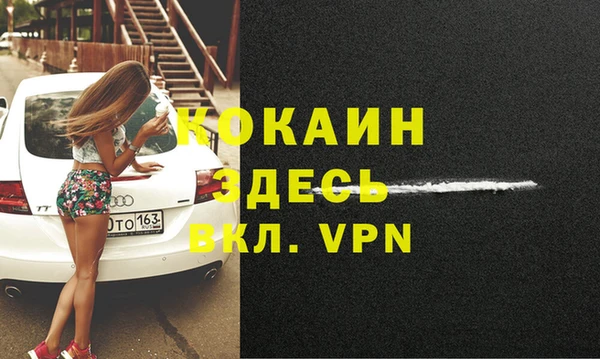 дурь Бородино
