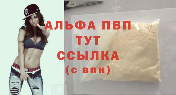 дурь Бородино