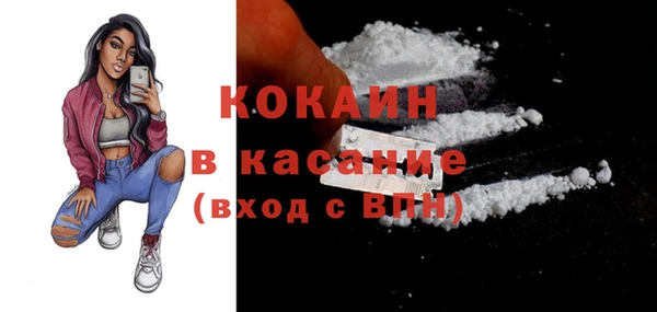 дурь Бородино
