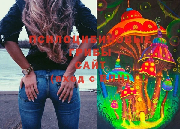 мяу мяу мука Верея
