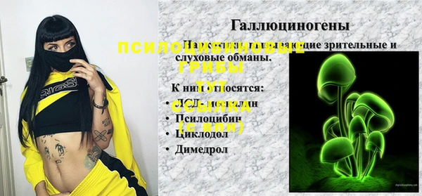 дурь Бородино