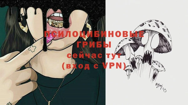 мяу мяу мука Верея